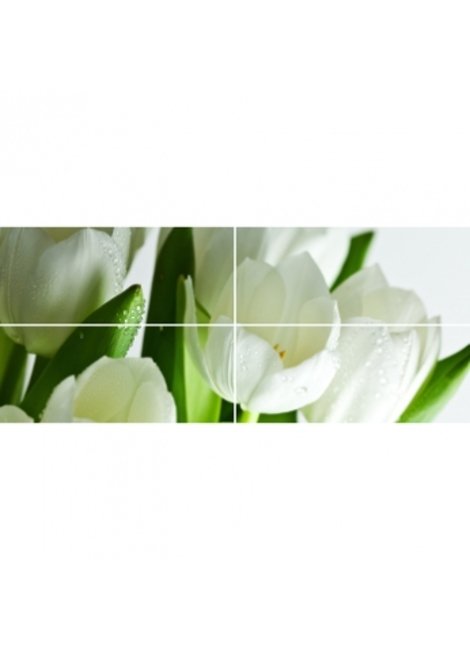 Digital Tulipany