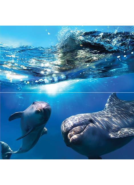 Waterlife Dolphins