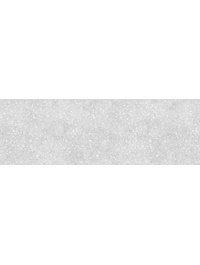 TES521