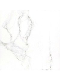 Carrara premium white белый PG 01 60х60