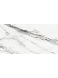 D120208M