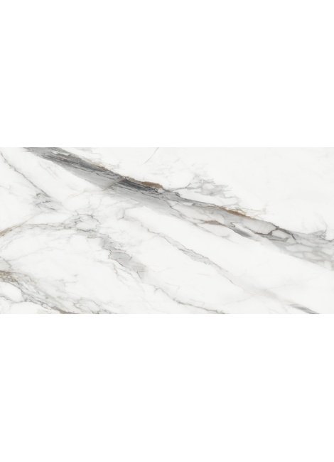 D120208M