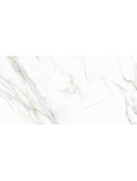 D120210M