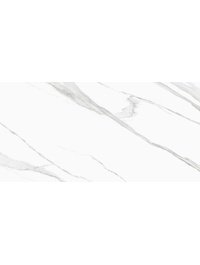 D120239M