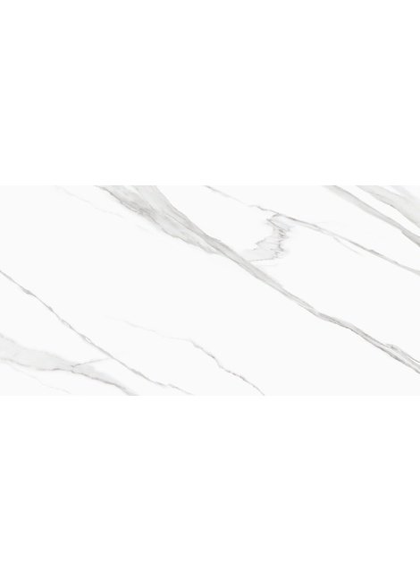 D120239M