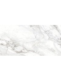 D120242M