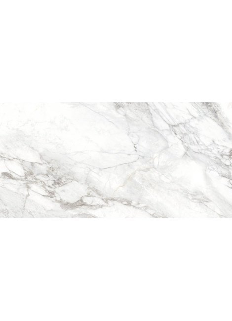 D120242M