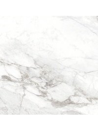 D60242M