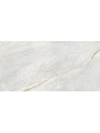 D120253M