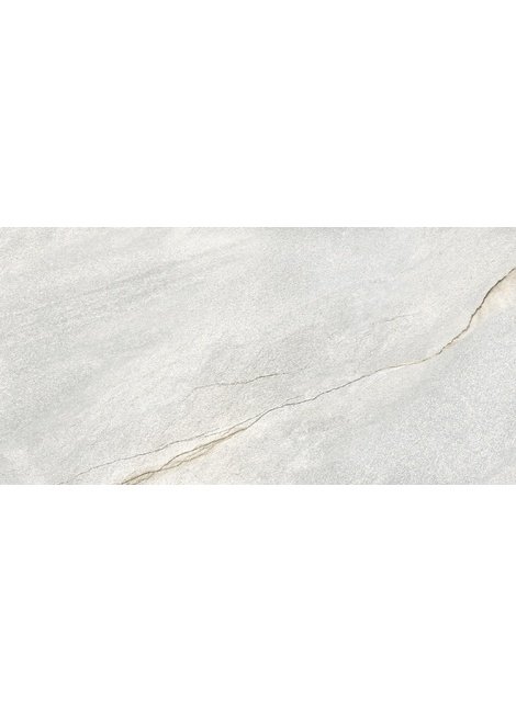 D120253M