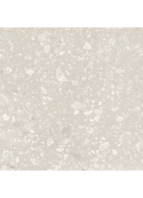 D60261M