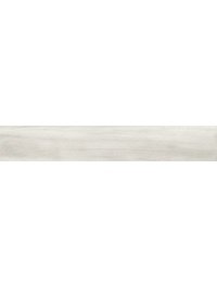 GP20120APC00