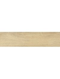 GP1560CRW11