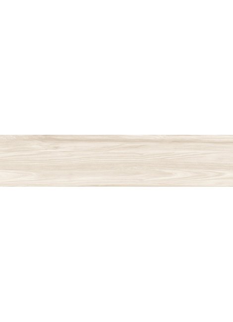 GP2090DEN05R