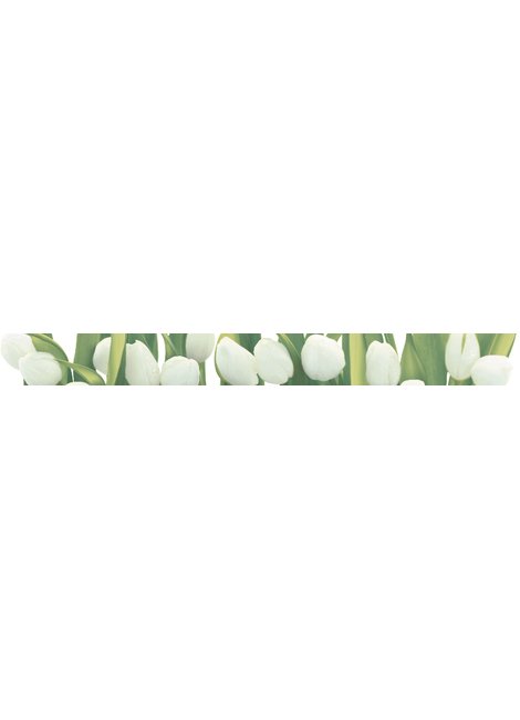 Arco Digital Tulipany