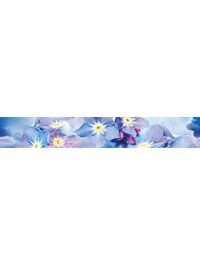 Forget-me-not B300D248