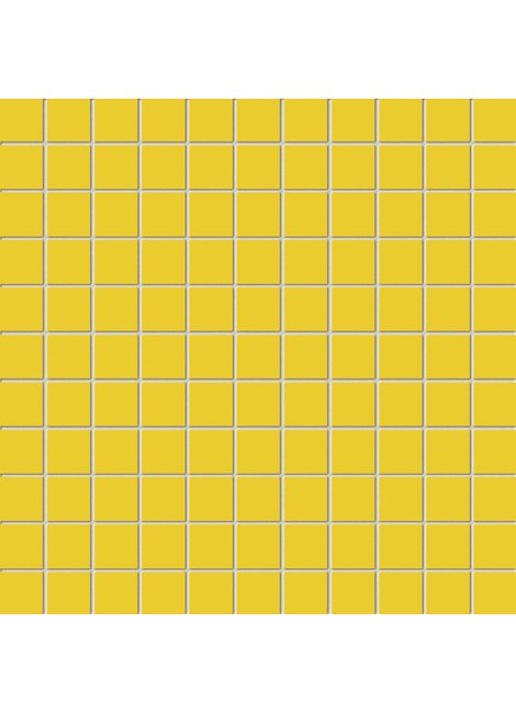 Yellow MS